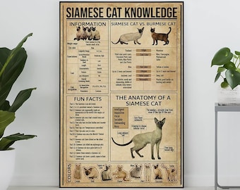 Könnte beinhalten: Ein gerahmtes Poster mit dem Titel "SIAMESE CAT KNOWLEDGE" mit Informationen, Fakten und einem Anatomiediagramm. Das Poster zeigt Bilder von Siamkatzen und einen Vergleich mit Burma-Katzen. Das Farbschema ist beige und schwarz.