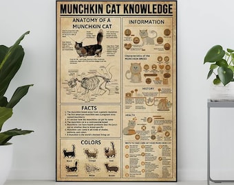 Póster vintage sin marco con información sobre los gatos Munchkin, regalo para amantes de los gatos Munchkin, todo sobre los gatos Munchkin, póster vintage, hogar, educación