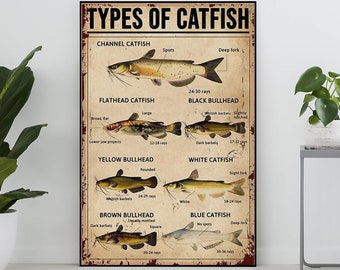 Unframed Types Of Catfish Poster, Catfish Lover Gift, Catfish Art Print, Knowledge Poster, Knowledge Art, Home , Education Wall