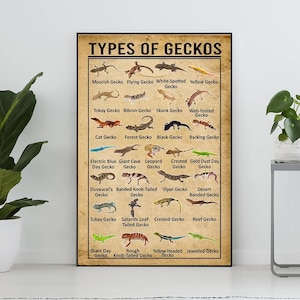 Poster sui tipi di gechi, regalo per gli amanti dei gechi, stampa di gechi, arte dei gechi, poster di conoscenza vintage, arte della conoscenza, decorazione da parete educativa, decorazione per la casa