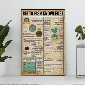 Unframed Betta Fish Knowledge Vintage Poster, Betta Fish Lover Gift, All About Betta Fish, Knowledge Retro Poster, Home , Education
