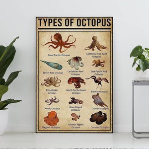 Tipi di poster vintage di polpo, regalo per gli amanti del polpo, stampa artistica del polpo, poster della conoscenza, arte della conoscenza, decorazione da parete per la casa, decorazione da parete educativa