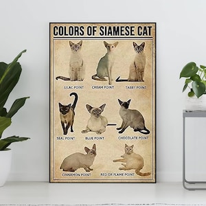 Ungerahmt Farbe der siamesischen Katze Vintage Poster, Siamkatze Liebhaber Geschenk, Siamkatze Kunstdruck, Wissensposter, Zuhause, Bildung