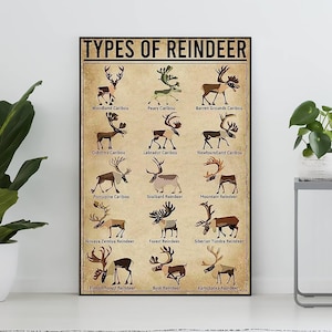 Poster vintage senza cornice sui tipi di renne, regalo per gli amanti delle renne, stampa artistica delle renne, poster della conoscenza, arte della conoscenza, casa, istruzione
