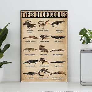 Poster sui tipi di coccodrilli, regalo per gli amanti dei coccodrilli, stampa di coccodrilli, poster di conoscenza vintage, arte della conoscenza, decorazione da parete educativa, decorazione per la casa