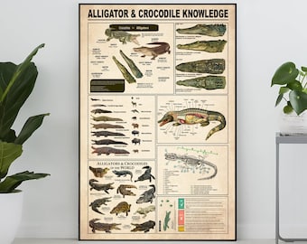 Póster de conocimiento sobre caimanes y cocodrilos, regalo para amantes de los caimanes y cocodrilos, póster de conocimiento, arte del conocimiento, hogar, decoración educativa