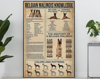 Belgische mechelaar kennis vintage poster, alles over Belgische mechelaar, Belgische mechelaar kunst, Belgische mechelaar minnaar cadeau, onderwijs muurdeco