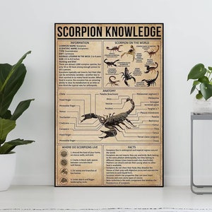 Poster vintage della conoscenza dello scorpione, regalo per gli amanti dello scorpione, stampa artistica dello scorpione, poster della conoscenza, arte della conoscenza, decorazione della casa, decorazione murale educativa