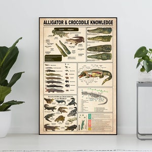 Alligator And Crocodile Knowledge Poster, Alligator And Crocodile Lover Gift, Knowledge Poster, Knowledge Art, Home , Education Decor