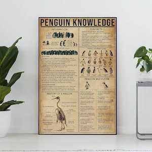 Poster di conoscenza del pinguino senza cornice, regalo per gli amanti dei pinguini, stampa artistica del pinguino, poster di conoscenza, arte della conoscenza, casa, muro educativo