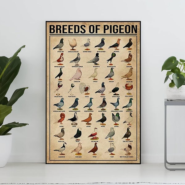 Affiche vintage de races de pigeons, cadeau d’amant de pigeon, impression d’art de pigeon, affiche de connaissances, art de la connaissance, décoration murale de maison, décoration murale d’éducation