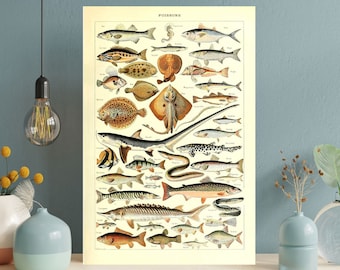 May include: Vintage-style print featuring a detailed illustration of various fish species. The artwork, titled "POISSONS," showcases a variety of fish in different shapes and sizes, rendered in a classic, educational style. The print has a cream-colored background.