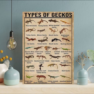 Poster di conoscenza sui tipi di gechi, poster di conoscenza vintage sui gechi, regalo per gli amanti dei gechi, arte sui gechi, poster di conoscenza vintage, arte della conoscenza