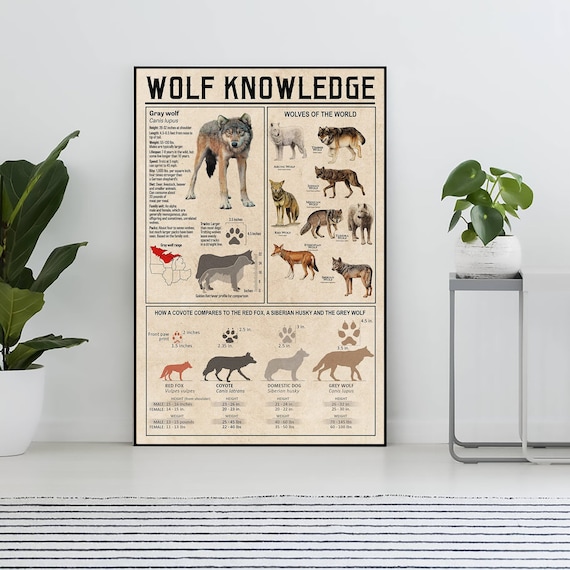 Unframed Wolf Knowledge Poster, Wolf Lover Gift, All About Wolf, Vintage Knowledge Poster, Knowledge , Home , Education