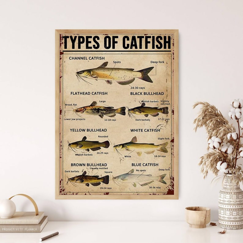 May include: A framed vintage-style poster titled "TYPES OF CATFISH" with illustrations of different catfish species. The poster includes detailed diagrams and labels for each type, such as Channel Catfish, Flathead Catfish, and Black Bullhead.