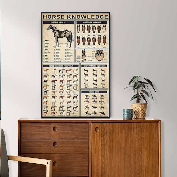 Horse Knowledge Poster, Horse Lover Gift, All About Horse, Vintage Knowledge Poster, Knowledge Wall Art, Home Decor, Education Wall Decor