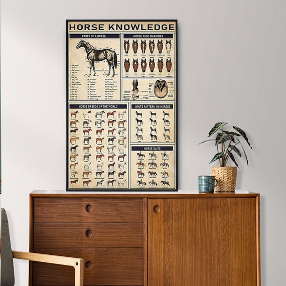 Horse Knowledge Poster, Horse Lover Gift, All About Horse, Vintage Knowledge Poster, Knowledge Wall Art, Home Decor, Education Wall Decor