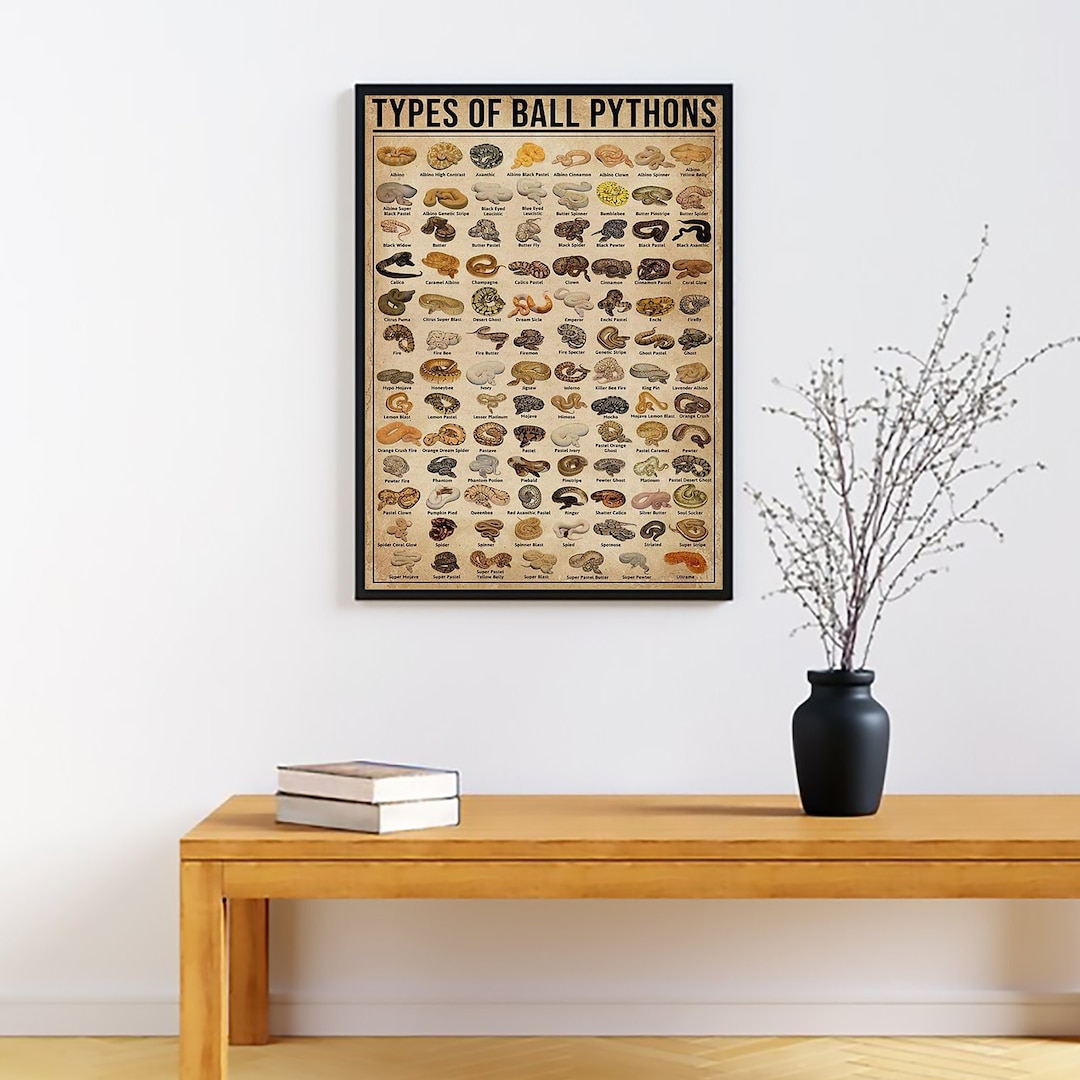 Types of Ball Pythons Poster, Ball Python Lover Gift, Ball Python Art ...