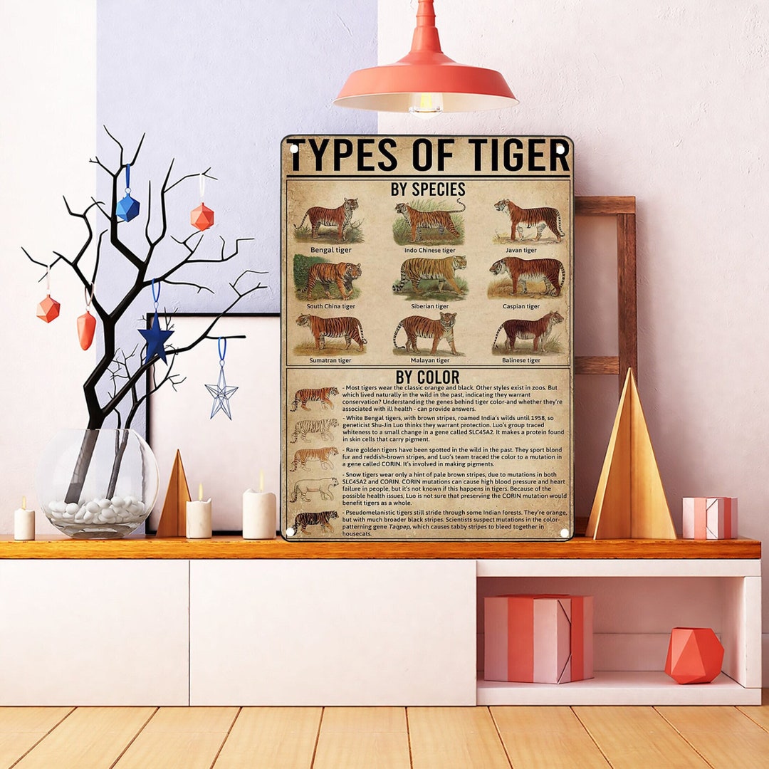 Unframed Vintage Tiger Knowledge Poster, Tiger Anatomy Chart Poster ...