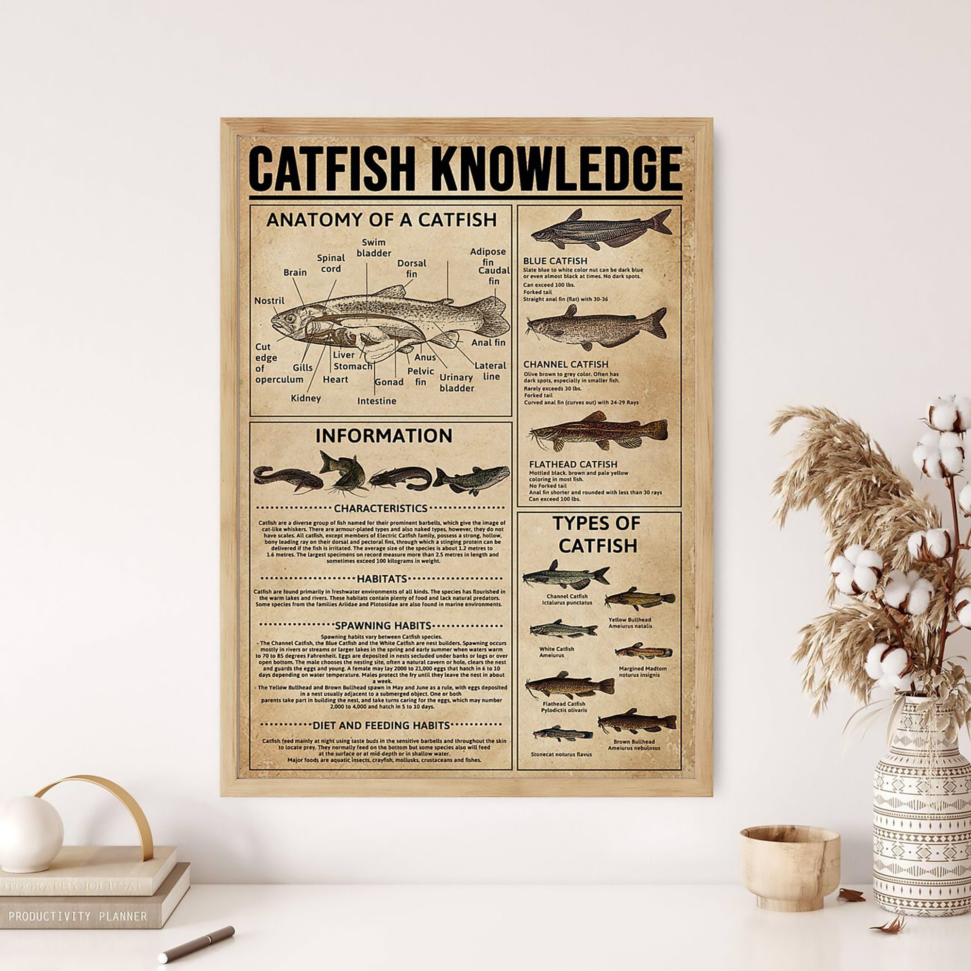 Catfish Periods: What Every Fish Lover Needs To Know - jla3ssj