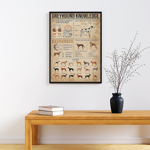 Unframed Greyhound Knowledge Vintage Poster, Greyhound Lover Gift, All About Greyhound, Vintage Knowledge Poster, Home , Education