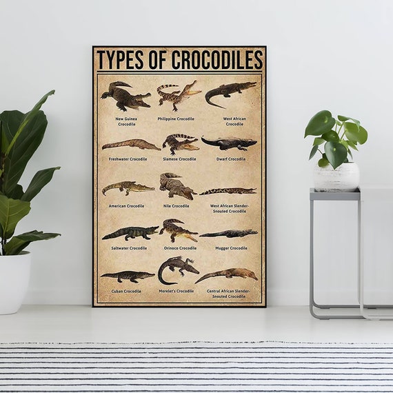 Types Of Crocodiles Poster, Crocodile Lover Gift, Crocodile Print, Vintage Knowledge Poster, Knowledge Art, Education Wall Deco, Home Deco