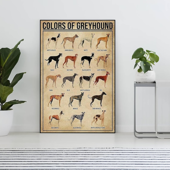 Unframed Colors Of Greyhound Vintage Poster, Greyhound Lover Gift, Greyhound , Vintage Knowledge Poster, Home Wall Art, Education