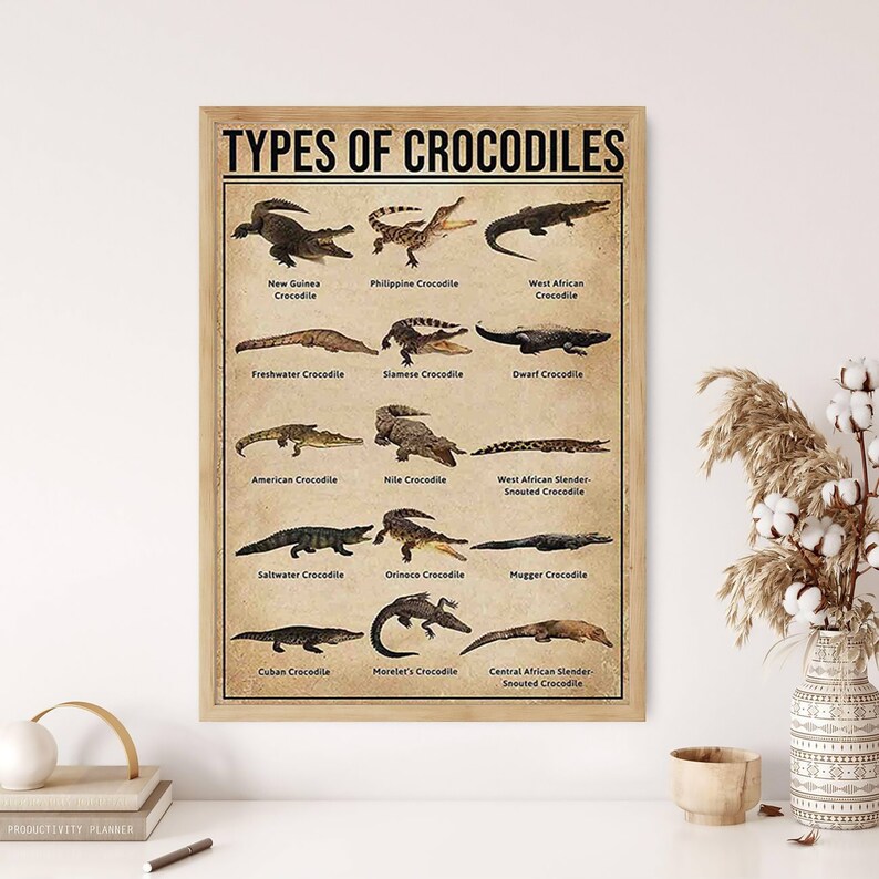 Puede incluir: Un p&oacute;ster enmarcado titulado "TYPES OF CROCODILES" muestra ilustraciones de varias especies de cocodrilos, incluyendo los cocodrilos de Nueva Guinea, Filipinas y &Aacute;frica Occidental. El p&oacute;ster est&aacute; en un marco de madera.