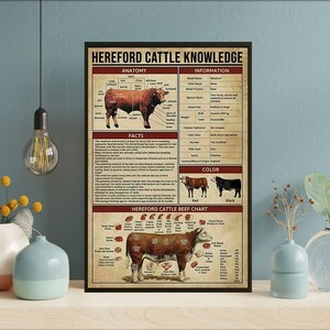 Unframed Hereford Cattle Knowledge Poster, Vintage Hereford Cattle Poster, Hereford Cattle Beef Chart Animal Poster, Cattle Knowledge Poster