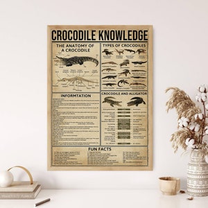 May include: A framed poster titled "CROCODILE KNOWLEDGE" with illustrations of crocodile anatomy and types. The poster includes diagrams, facts, and a comparison of crocodiles and alligators. The color scheme is beige and brown.