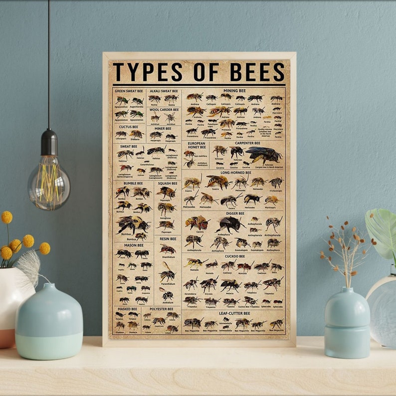 Types of Bees Vintage Poster Bee Lover Gift All About Bee Etsy