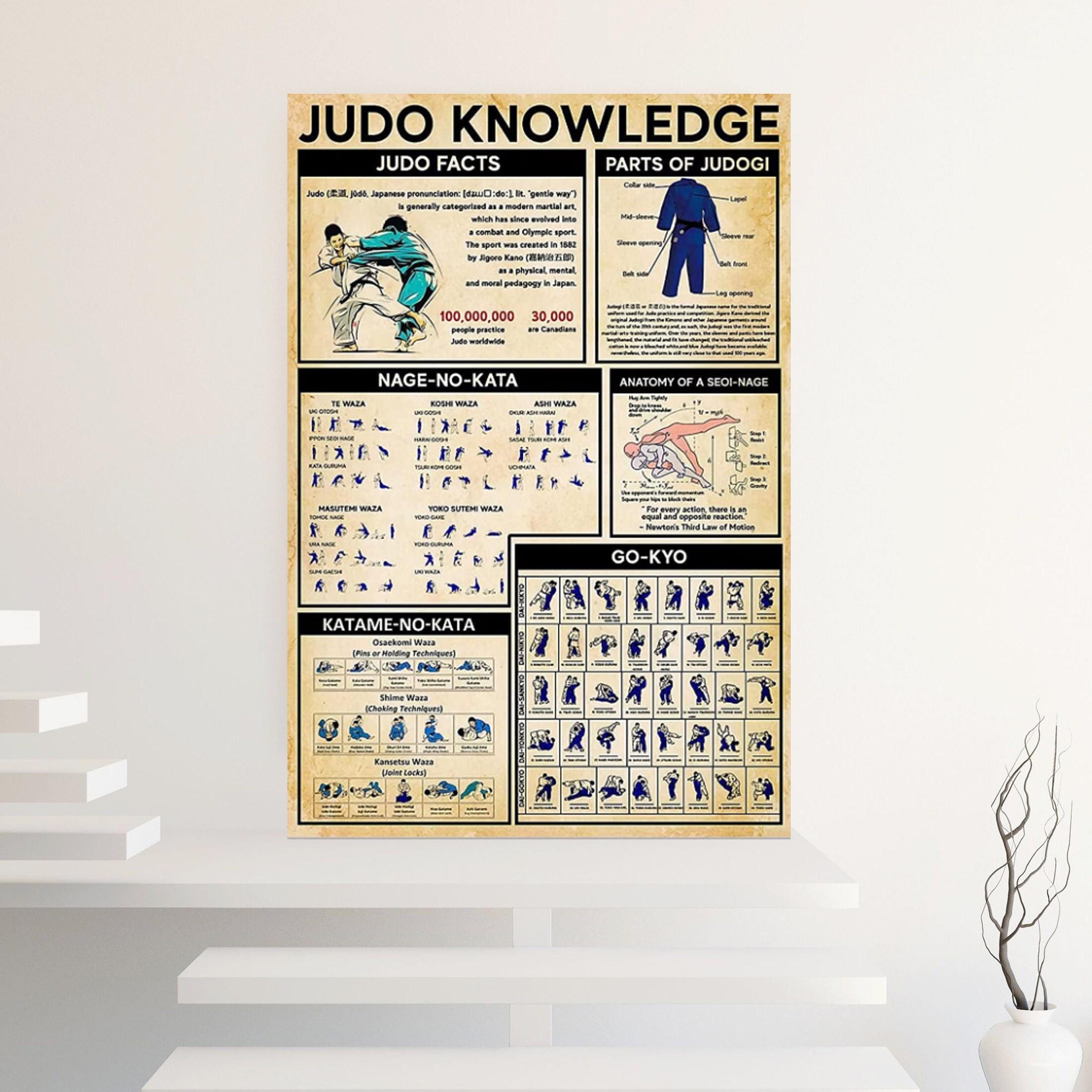Unframed Judo Poster, Judo Gift Ideas, Judo Present, Judo , Judo Print ...