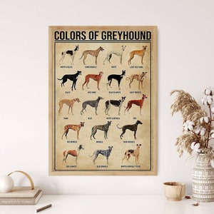 May include: Framed poster titled "COLORS OF GREYHOUND" featuring illustrations of various greyhound coat colors, including white, black, fawn, brindle, and red. The poster has a vintage aesthetic with a beige background and a wooden frame.