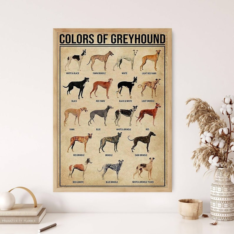 May include: Framed poster titled "COLORS OF GREYHOUND" featuring illustrations of various greyhound coat colors, including white, black, fawn, brindle, and red. The poster has a vintage aesthetic with a beige background and a wooden frame.