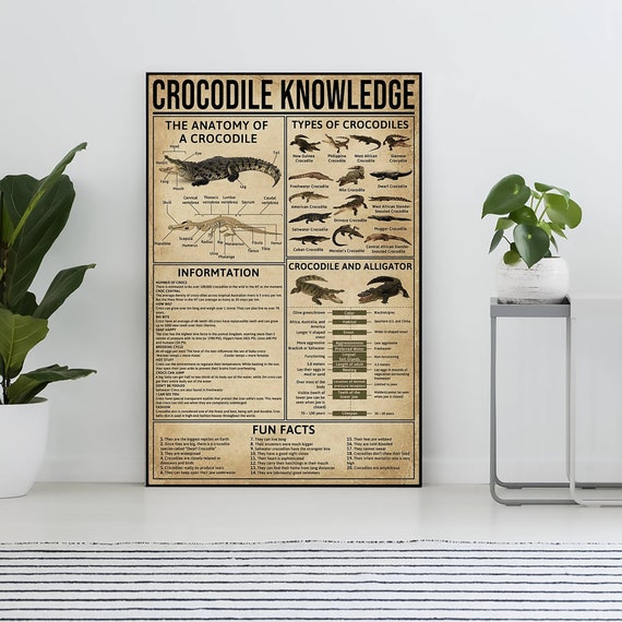 Unframed Crocodile Knowledge Poster, Crocodile Lover Gift, All About Crocodile, Knowledge Poster, Knowledge Art, Home , Education