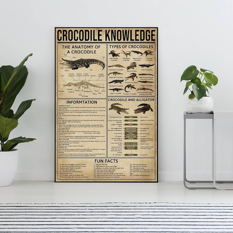 Unframed Crocodile Knowledge Poster, Crocodile Lover Gift, All About Crocodile, Knowledge Poster, Knowledge Art, Home , Education image 1