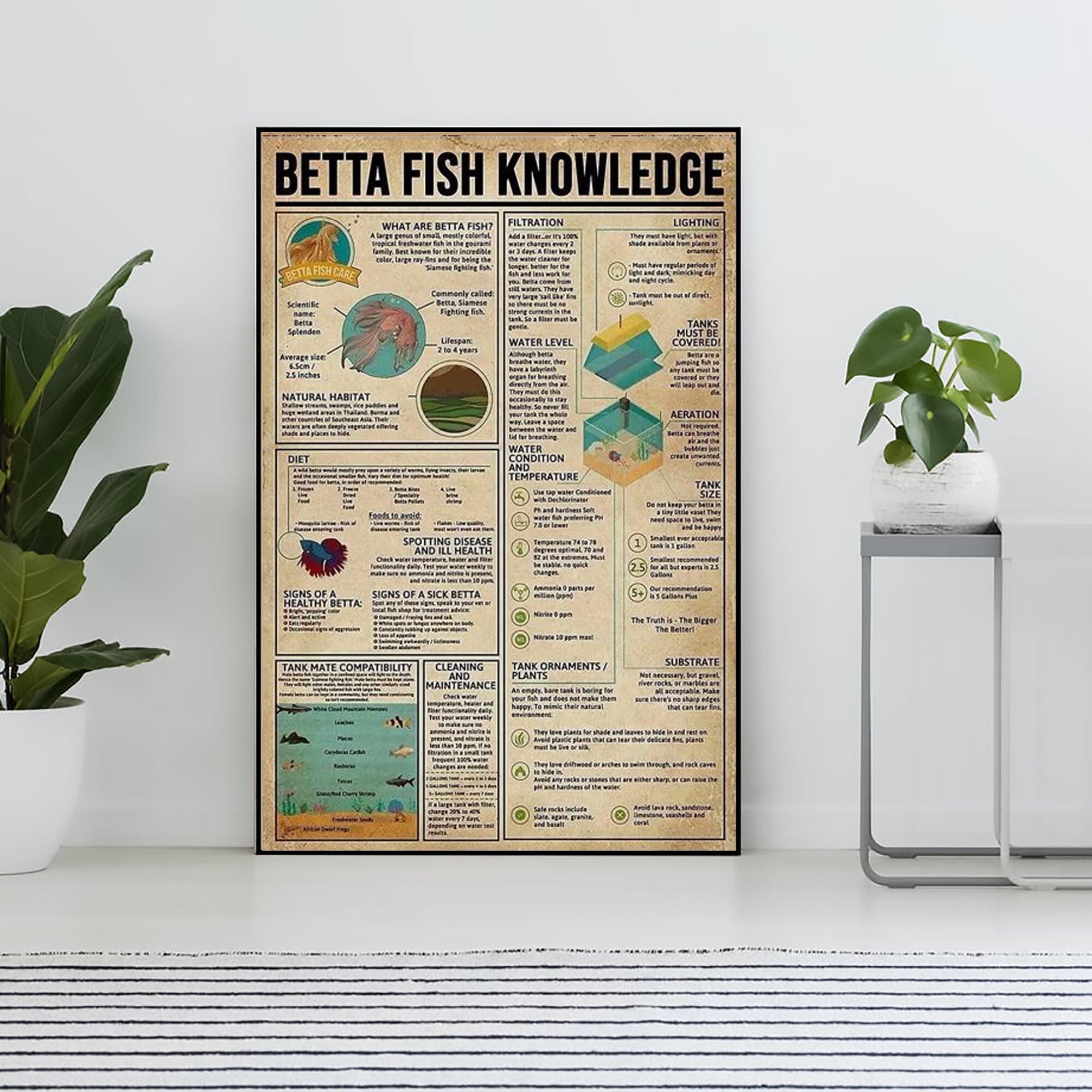 Betta Fish Knowledge Vintage Poster, Betta Fish Lover Gift, All About Betta  Fish, Knowledge Retro Poster, Home Decor, Education Wall Decor 