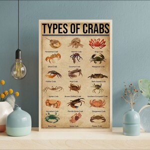 Pu&ograve; includere: Un poster incorniciato intitolato "TYPES OF CRABS" mostra illustrazioni di varie specie di granchi, tra cui il granchio a ferro di cavallo, il granchio reale e il granchio blu. Il poster ha un'estetica vintage con sfondo marrone chiaro e testo nero.
