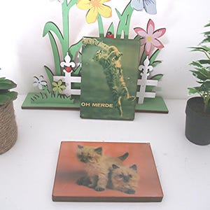 Au choix, cadre mural avec carte postale vieillie, motif chat