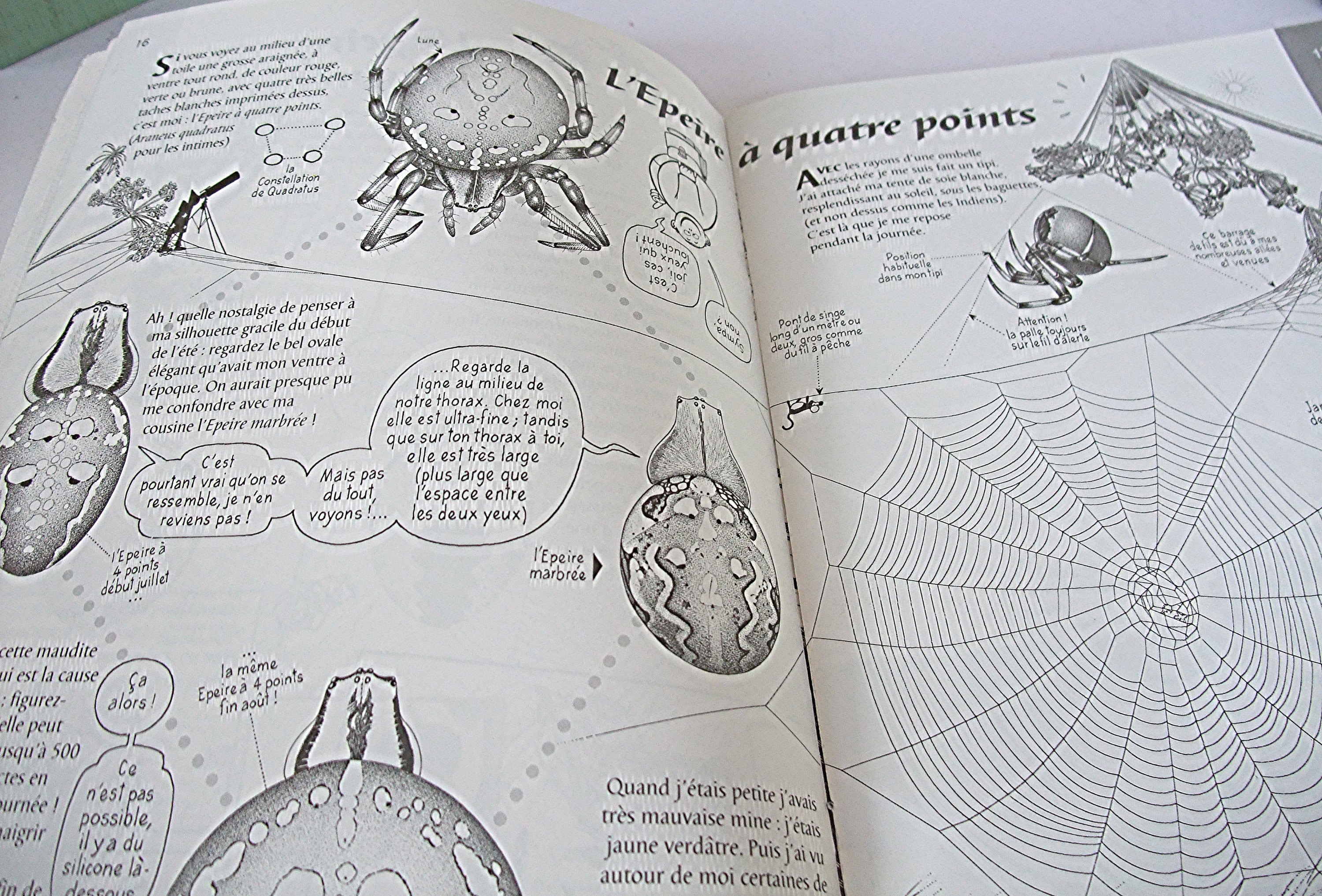 Revue La Hulotte Number 74 Le Petit Guides Des Araignees Etsy Revue La Hulotte Number 74 Le Petit Guides Des Araignees Etsy