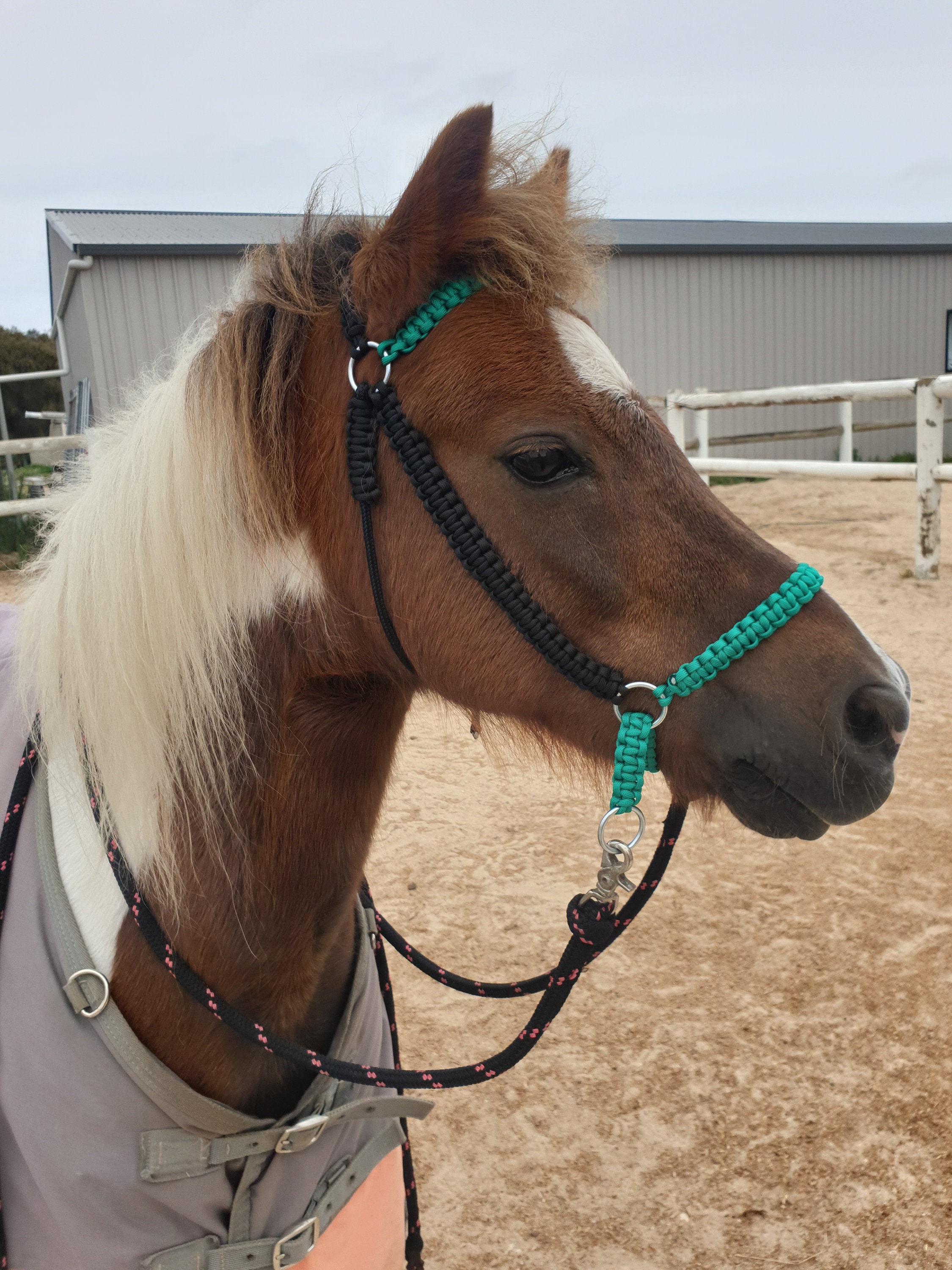 Bitless rope bridle Etsy