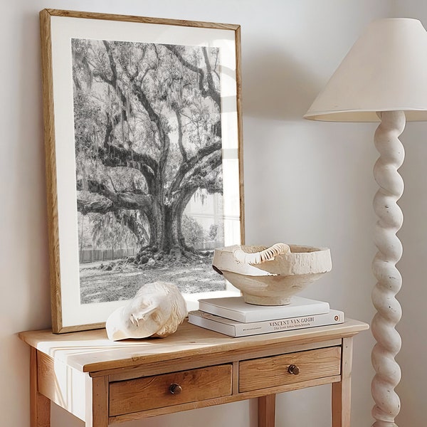 NOLA's Natural Wonder : The Tree of Life | Black & White Photography Print | New Orleans, Louisiana || audubon park, oak tree, spanish moss