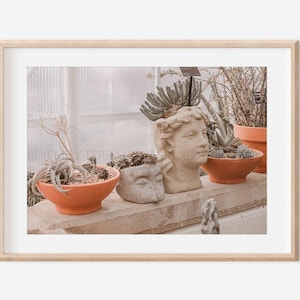 Botanical Gardens - Myriad Gardens | Oklahoma Photography | Luster Print : Unframed || desert cactus plants, orange, boho wall art, nature