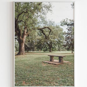 Beneath the Branches - A Bench in Audubon | New Orleans, Louisiana Photography | Luster Print : Unframed || nola wall art, decor gift