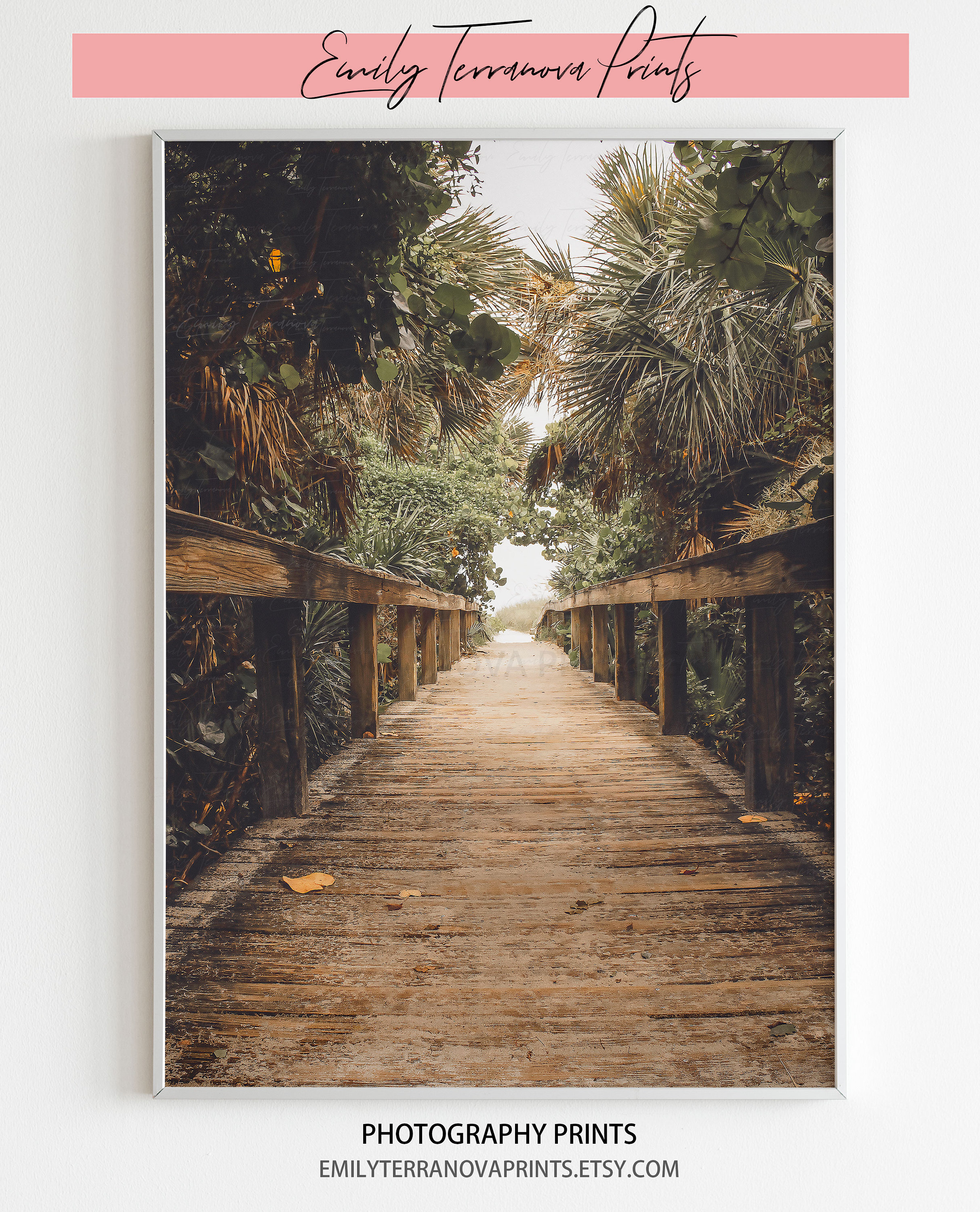 Long Lost | Florida Photography | Luster Print - Unframed || beach house decor, dark and moody, coastal, ocean wall art, tropical, giftt