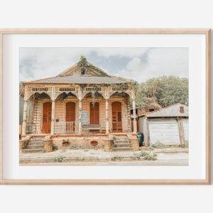New Orleans, Louisiana Photography | Nature Adorned Old Nola Home | Luster Print : Unframed || wall art, travel gift for him, spanish moss