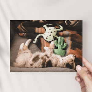 Miniature Australian Shepherd | Postcard | Photography || aussie mom gift, red merle, greeting card, boho art, dog mom, cactus, pendleton