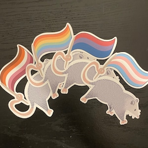 Pride Opossum Vinyl Stickers