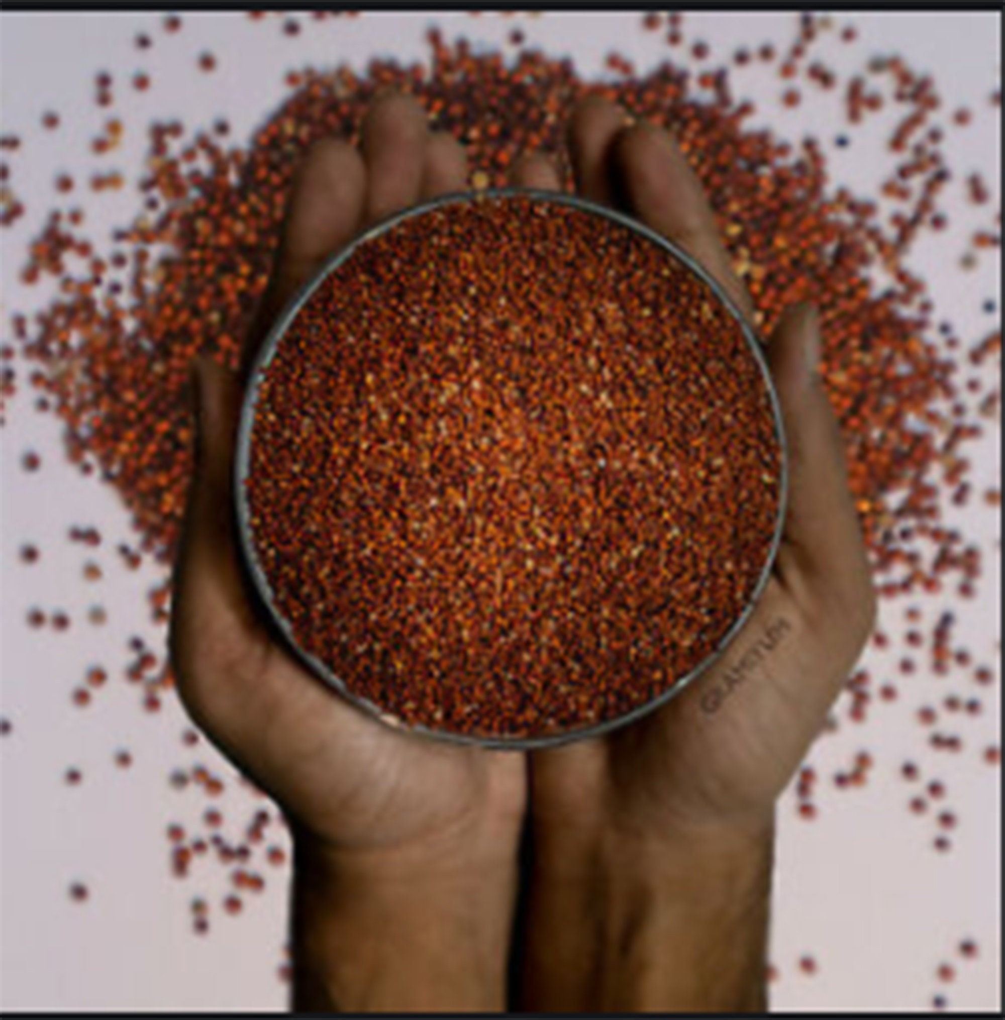 Srilankan home made Kurakkan pure finger millet seeds 100g Etsy