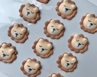 Op de afbeelding: Twaalf bruine en beige leeuwen-vormige suikerkoekjes met gesloten ogen en een zwarte neus. De koekjes zijn gerangschikt in een rasterpatroon op een doorzichtig plastic vel.
